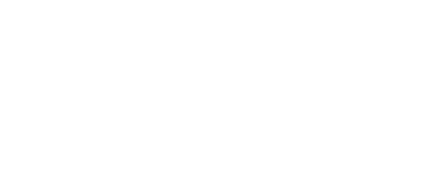 Peerless Tech